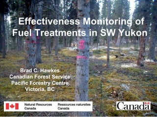 Effectiveness Monitoring of
Fuel Treatments in SW Yukon

Brad C. Hawkes
Canadian Forest Service
Pacific Forestry Centre
Victoria, BC

 