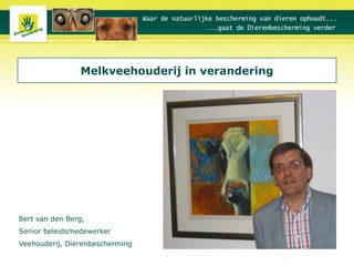 Melkveehouderij in verandering Bert van den Berg, Senior beleidsmedewerker  Veehouderij, Dierenbescherming 