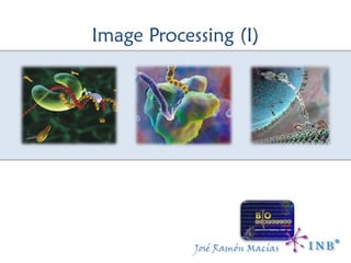 Image Processing (I)
José Ramón Macías
 