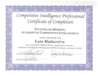 2010 12 09 CIP-II Certificate Luis Madureira