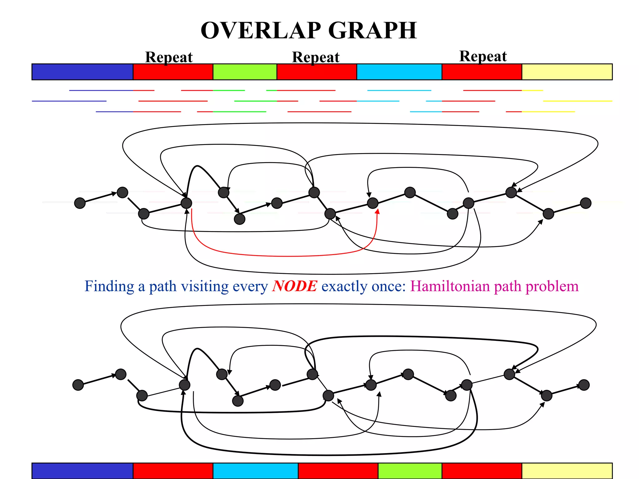 OVERLAP GRAPH
        Repeat                Repeat                   Repeat




Finding a path visiting every NODE exactly once: Hamiltonian path problem
 