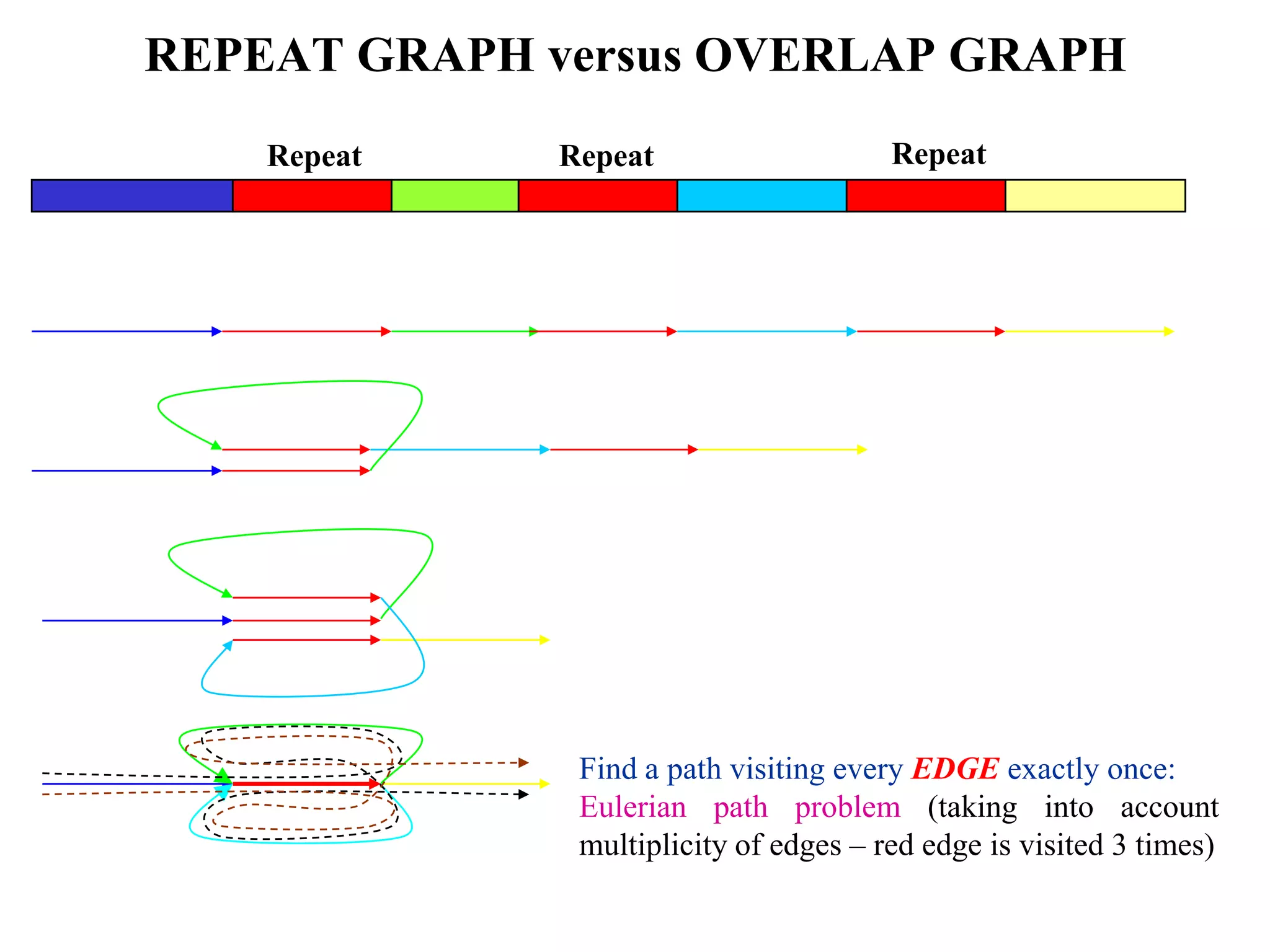 REPEAT GRAPH versus OVERLAP GRAPH
    Repeat   Repeat                    Repeat




              Find a path visiting every EDGE exactly once:
              Eulerian path problem (taking into account
              multiplicity of edges – red edge is visited 3 times)
 