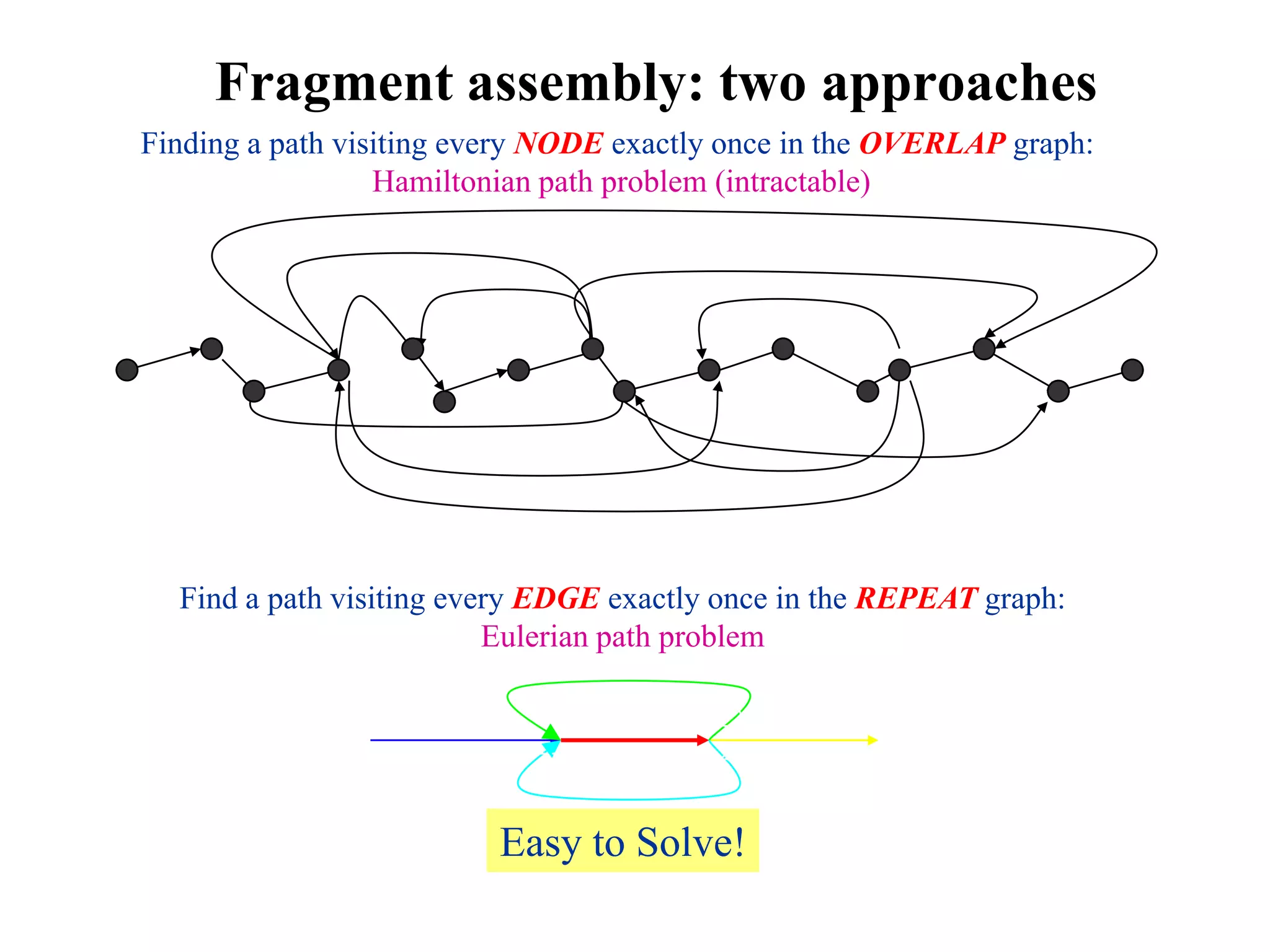 Fragment assembly: two approaches
Finding a path visiting every NODE exactly once in the OVERLAP graph:
                  Hamiltonian path problem (intractable)




  Find a path visiting every EDGE exactly once in the REPEAT graph:
                          Eulerian path problem




                         Easy to Solve!
 