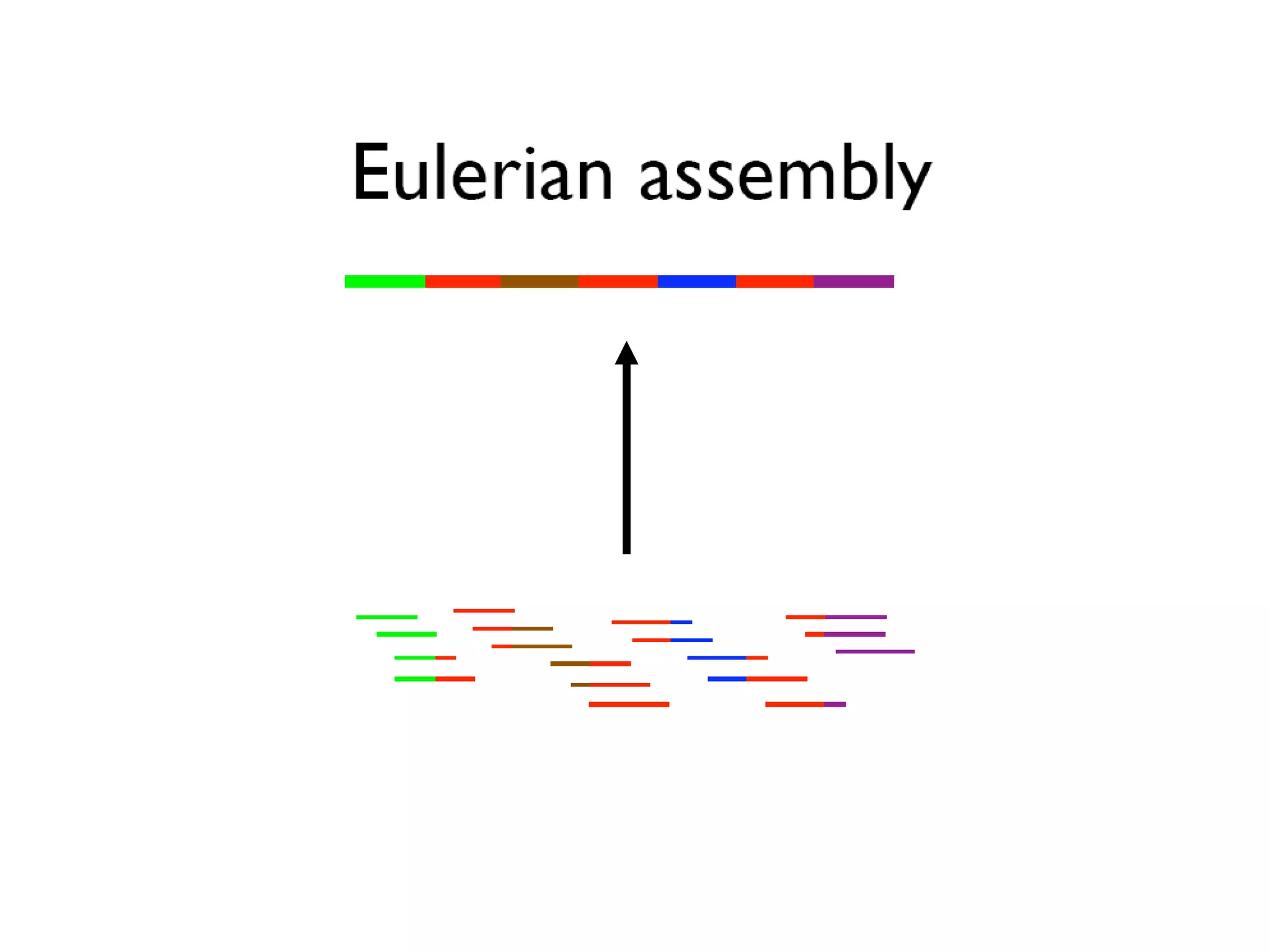 P.P. et al., PNAS 2001, Genome Res., 2004
 