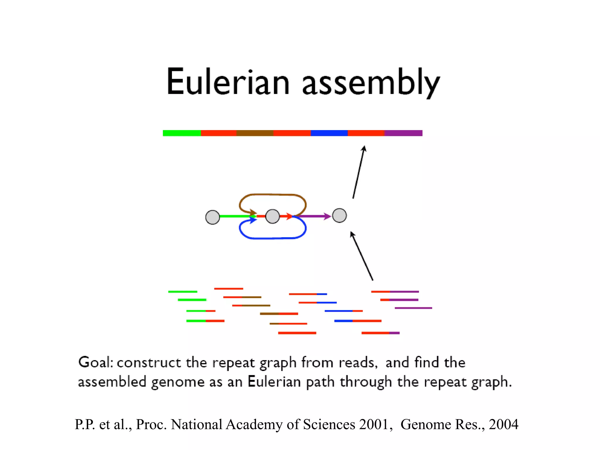 P.P. et al., Proc. National Academy of Sciences 2001, Genome Res., 2004
 