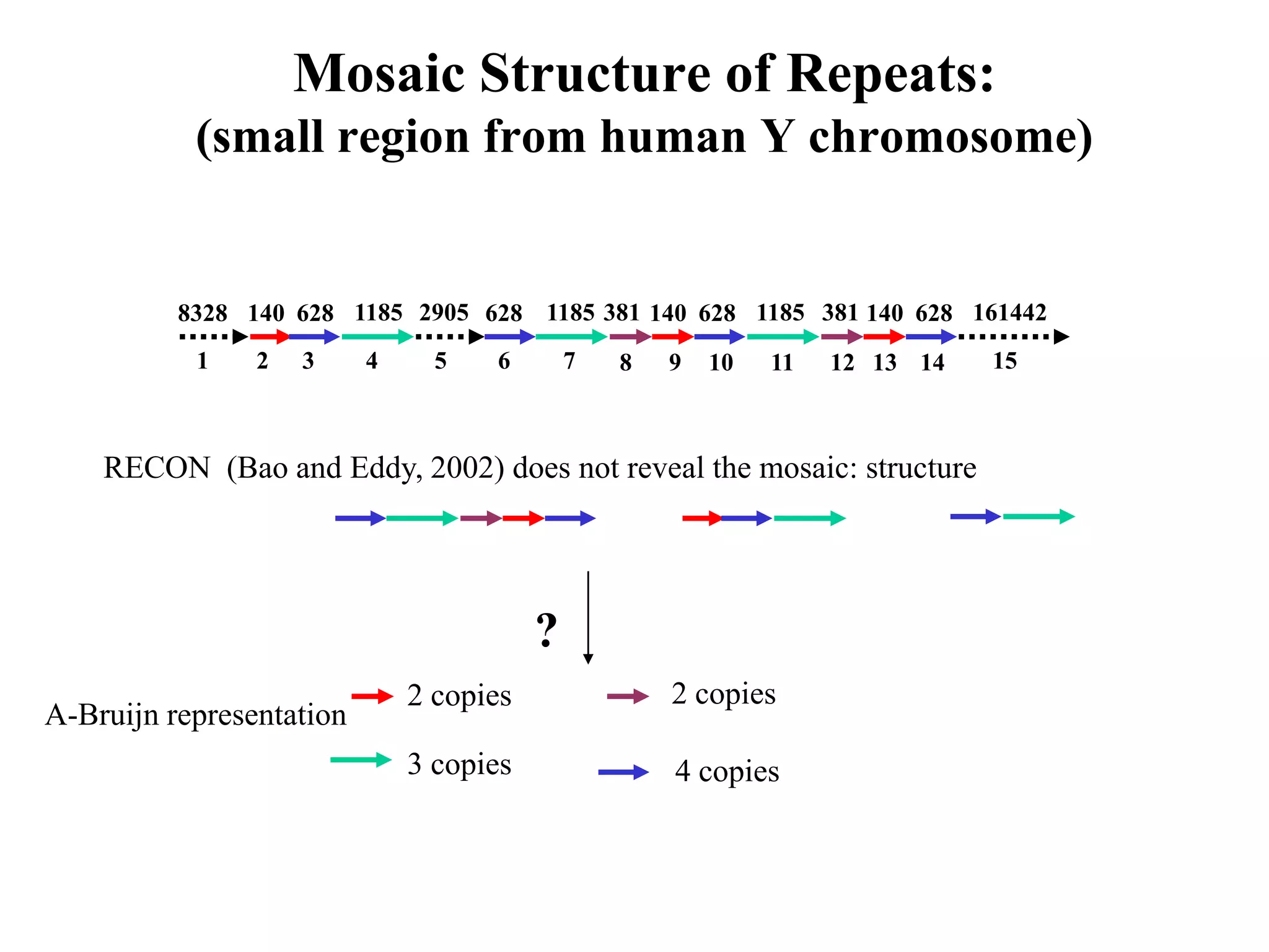 Mosaic Structure of Repeats:
           (small region from human Y chromosome)


          8328 140 628 1185 2905 628 1185 381 140 628 1185 381 140 628 161442
           1    2   3     4     5   6        7   8   9   10   11   12 13 14   15



    RECON (Bao and Eddy, 2002) does not reveal the mosaic: structure




                                         ?
                              2 copies               2 copies
A-Bruijn representation
                              3 copies               4 copies
 