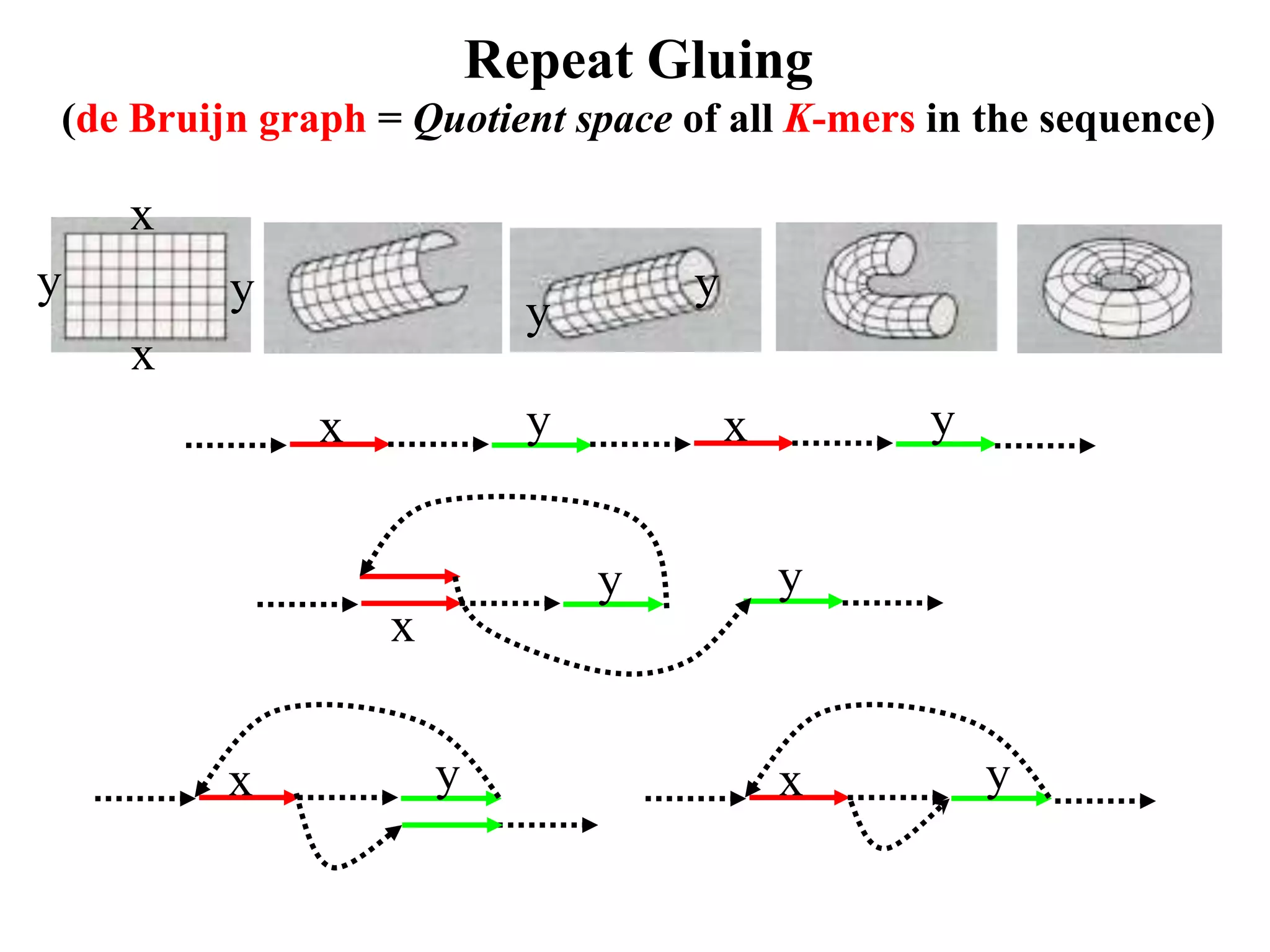 Repeat Gluing
(de Bruijn graph = Quotient space of all K-mers in the sequence)

    x
y        y                          y
                            y
    x
              x             y           x       y


                                y           y
                  x


         x            y                     x       y
 