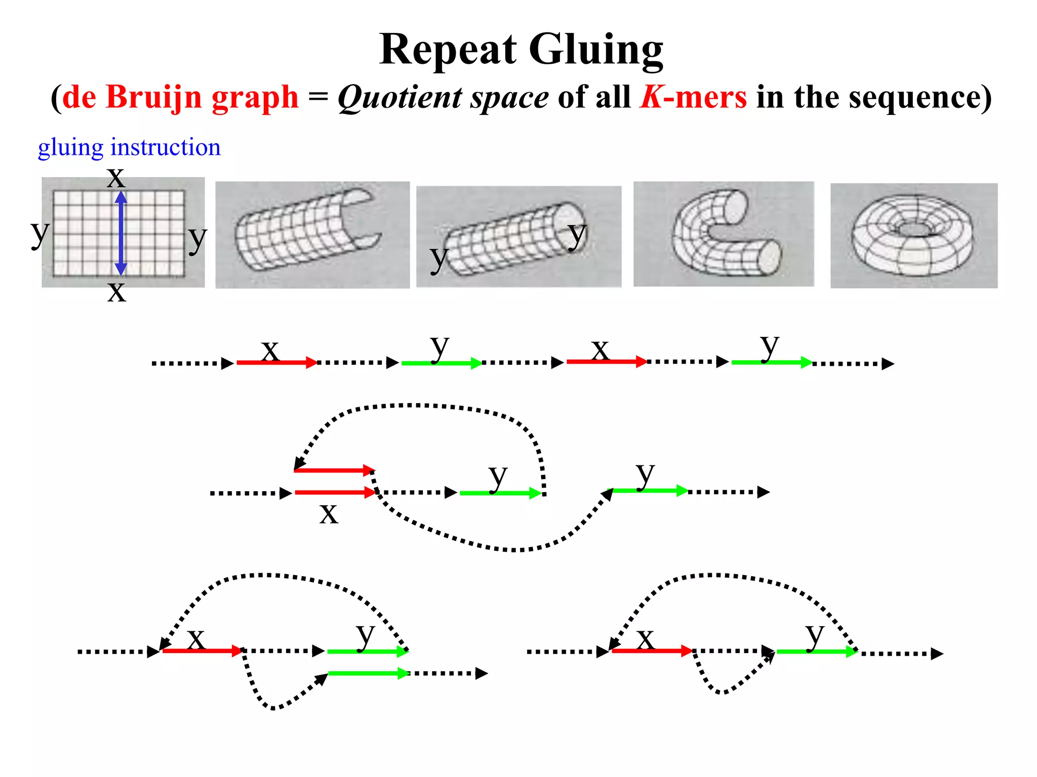 Repeat Gluing
 (de Bruijn graph = Quotient space of all K-mers in the sequence)
gluing instruction
      x
y             y                            y
                                   y
      x
                     x             y           x       y


                                       y           y
                         x


              x              y                     x       y
 