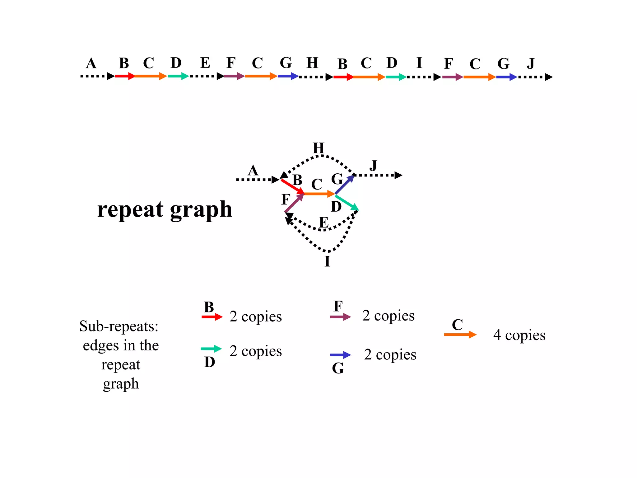 A    B C       D   E F    C   G H       B C D          I   F C   G    J




                                  H
                         A                   J
                                B C G
                              F
  repeat graph                     E
                                     D


                                    I

                   B                    F
                       2 copies             2 copies
Sub-repeats:                                               C
                                                                 4 copies
edges in the           2 copies
                   D                        2 copies
   repeat                               G
   graph
 