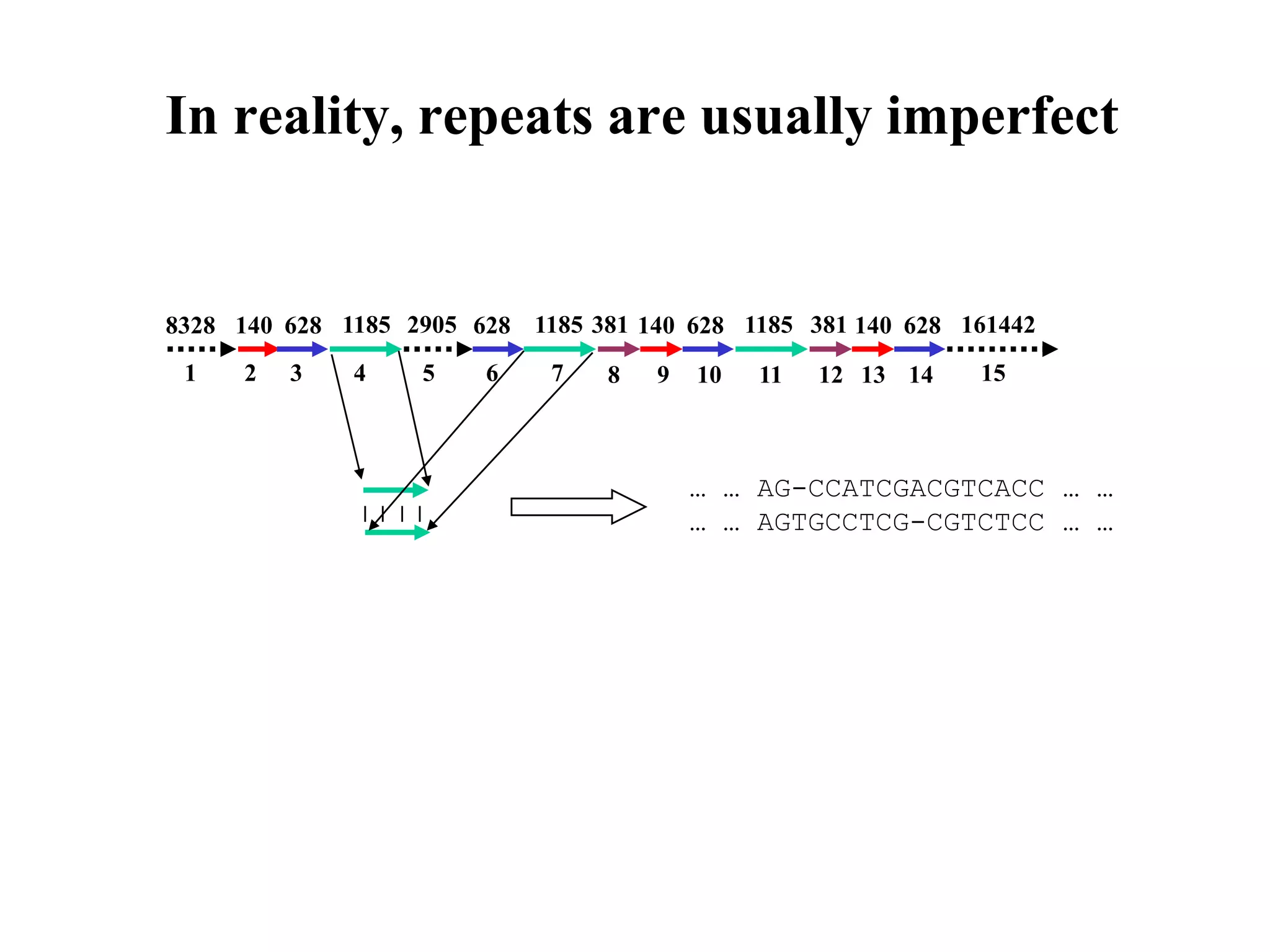 In reality, repeats are usually imperfect


8328 140 628 1185 2905 628 1185 381 140 628 1185 381 140 628 161442
 1    2   3   4    5    6    7    8   9   10   11   12 13 14   15



                                          … … AG-CCATCGACGTCACC … …
                                          … … AGTGCCTCG-CGTCTCC … …
 