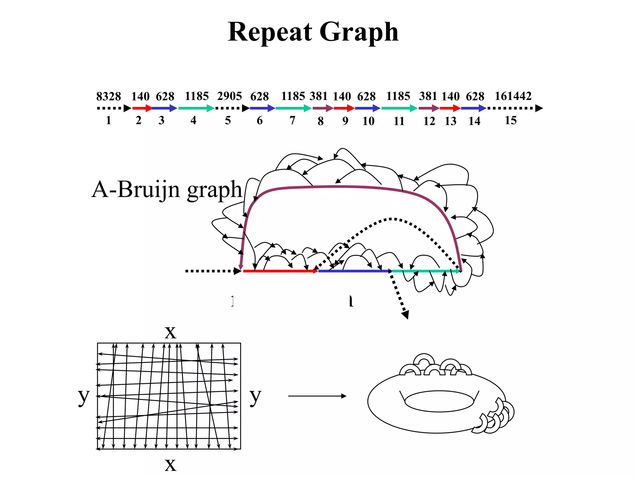 Repeat Graph

    8328 140 628 1185 2905 628 1185 381 140 628 1185 381 140 628 161442
     1    2   3   4    5    6    7    8   9   10   11   12 13 14   15




    A-Bruijn graph



                        repeat graph
              x

y                          y

              x
 