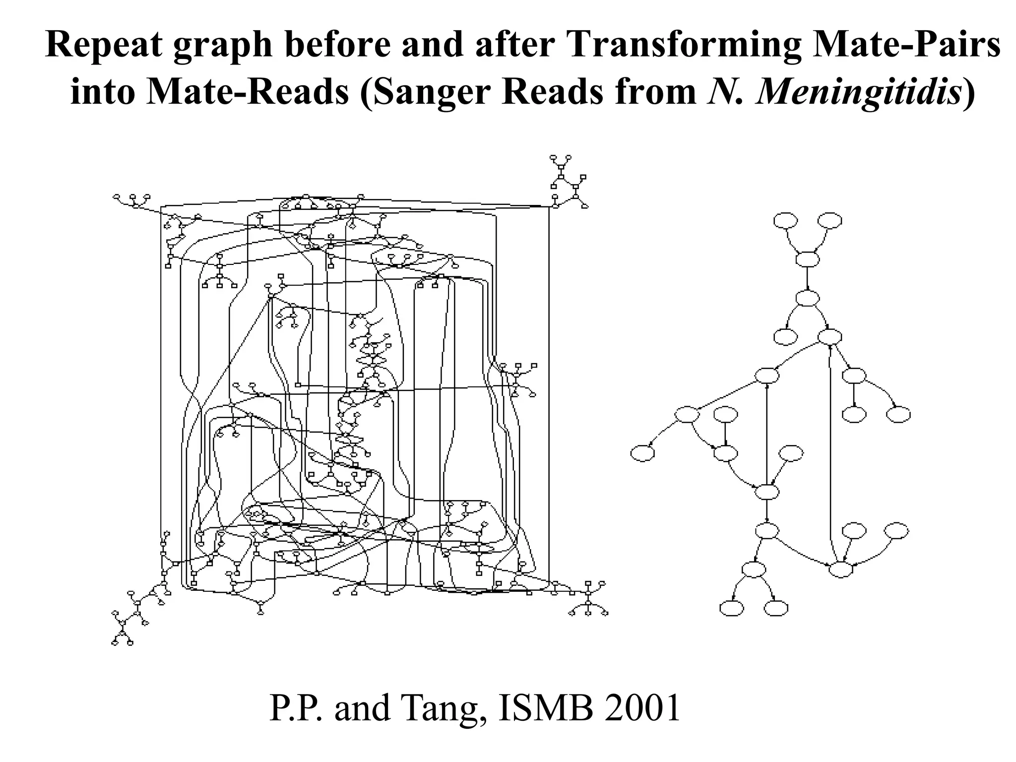 Repeat graph before and after Transforming Mate-Pairs
 into Mate-Reads (Sanger Reads from N. Meningitidis)




            P.P. and Tang, ISMB 2001
 