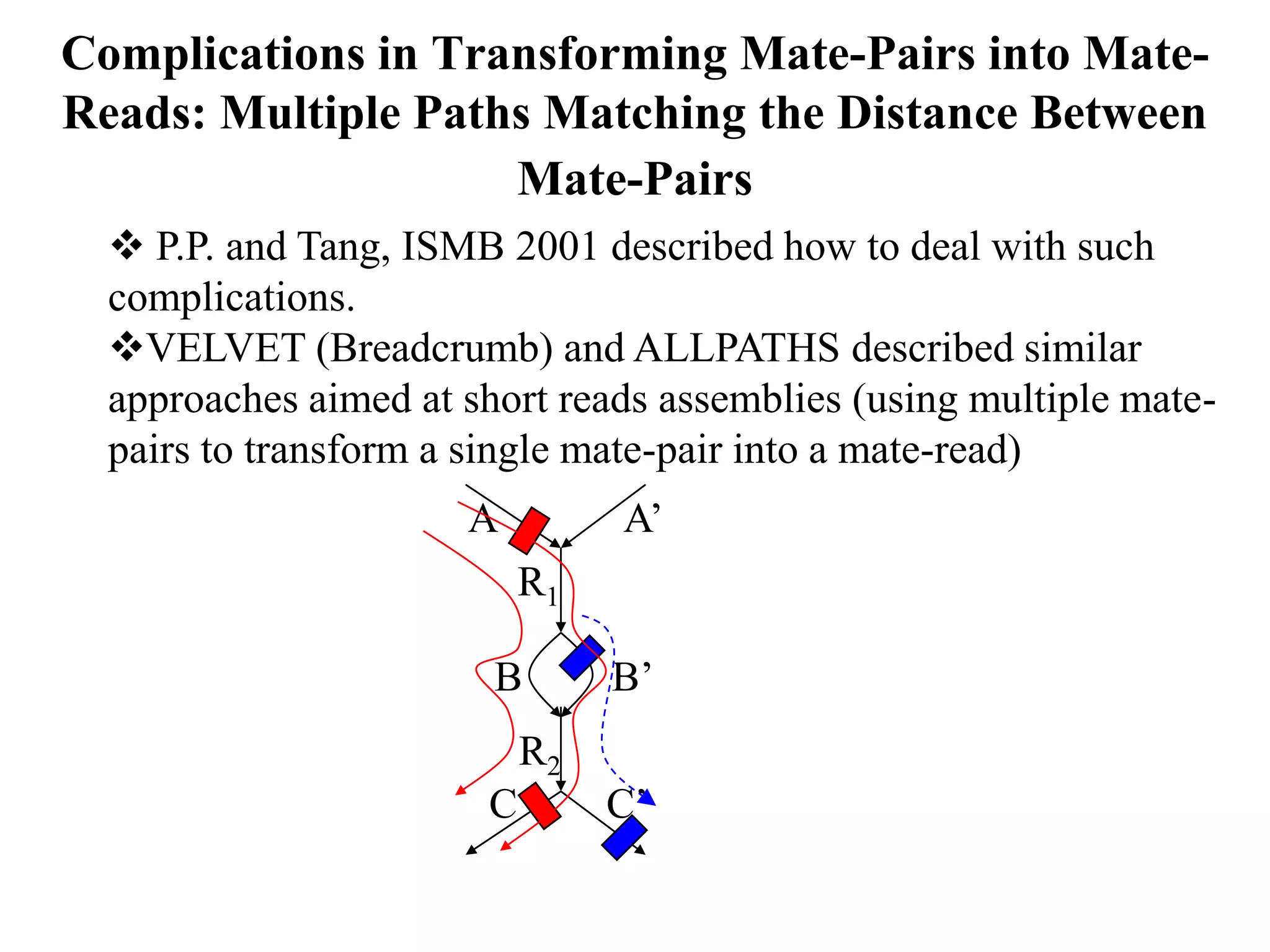 Complications in Transforming Mate-Pairs into Mate-
Reads: Multiple Paths Matching the Distance Between
                    Mate-Pairs
   P.P. and Tang, ISMB 2001 described how to deal with such
  complications.
  VELVET (Breadcrumb) and ALLPATHS described similar
  approaches aimed at short reads assemblies (using multiple mate-
  pairs to transform a single mate-pair into a mate-read)
                      A          A‟
                            R1

                        B        B‟
                            R2
                        C        C‟
 