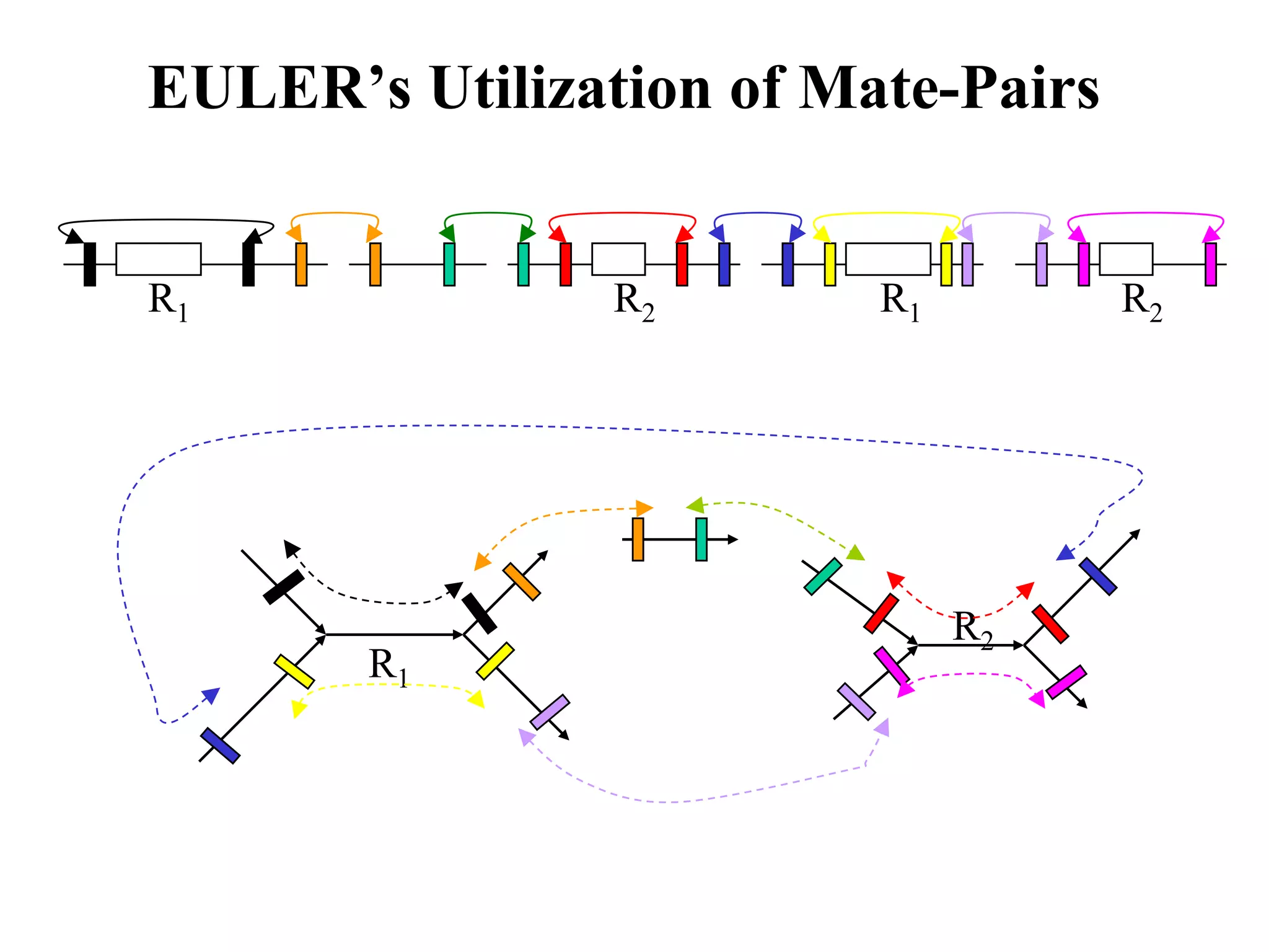EULER’s Utilization of Mate-Pairs


R1              R2       R1         R2




                              R2
       R1
 