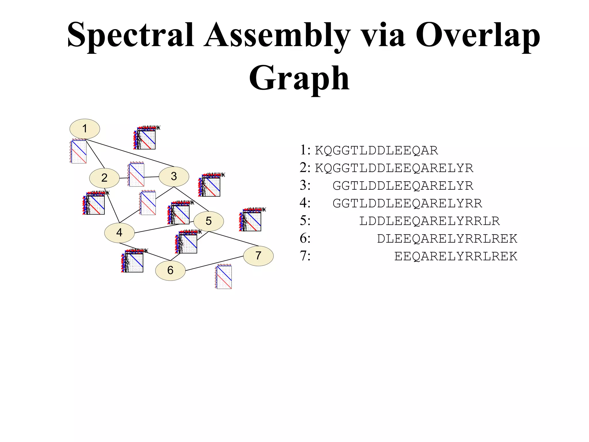 Spectral Assembly via Overlap
           Graph
1                    T
                     H
                     E
                     A
                       VM ETA
                       A TEVM
                        AV A V
                     A
                     V
                     M
                     M
                     V
                     A
                                                                     1: KQGGTLDDLEEQAR
                     A
                     E
                     H
                     T



                                                                     2: KQGGTLDDLEEQARELYR
      2                          3           T
                                               VM ETA
                                               A TEVM
                                                AV A V

                                                                     3: GGTLDDLEEQARELYR
                                             H
                                             E
                                             A
                                             A
                                             V
                                             M
                                             M
                                             V
                                             A
   VM ETA
   A TEVM
    AV A V                                   A
                                             E
                                             H
                                             T

                                                                     4: GGTLDDLEEQARELYRR
 T
 H
 E
 A
 A
 V
 M                                 VM ETA
                                   A TEVM
                                    AV A V
 M
 V                               T
                                 H
 A
 A
 E                               E
                                 A                         VM ETA
                                                           A TEVM
                                                            AV A V
 H
 T                               A
                                 V                       T
                                 M                       H
                                                                             LDDLEEQARELYRRLR
                                 M
                                 V
                                 A
                                 A
                                 E
                                 H
                                 T             5
                                                         E
                                                         A
                                                         A
                                                         V
                                                         M
                                                         M
                                                         V
                                                         A
                                                         A
                                                         E
                                                         H
                                                         T
                                                                     5:
             4                       VM ETA
                                     A TEVM
                                      AV A V
                                     T
                                     H
                                     E
                                     A
                                     A
                                     V
                                     M
                                     M
                                     V
                                     A
                                                                     6:        DLEEQARELYRRLREK
                                     A
                                     E
                                                                                 EEQARELYRRLREK
                   VM ETA
                   A TEVM
                    AV A V           H
                                     T
                 T
                 H
                 E
                 A
                 A
                 V
                 M
                 M
                 V
                                                             7       7:
                 A
                 A
                 E
                 H
                 T               6
 