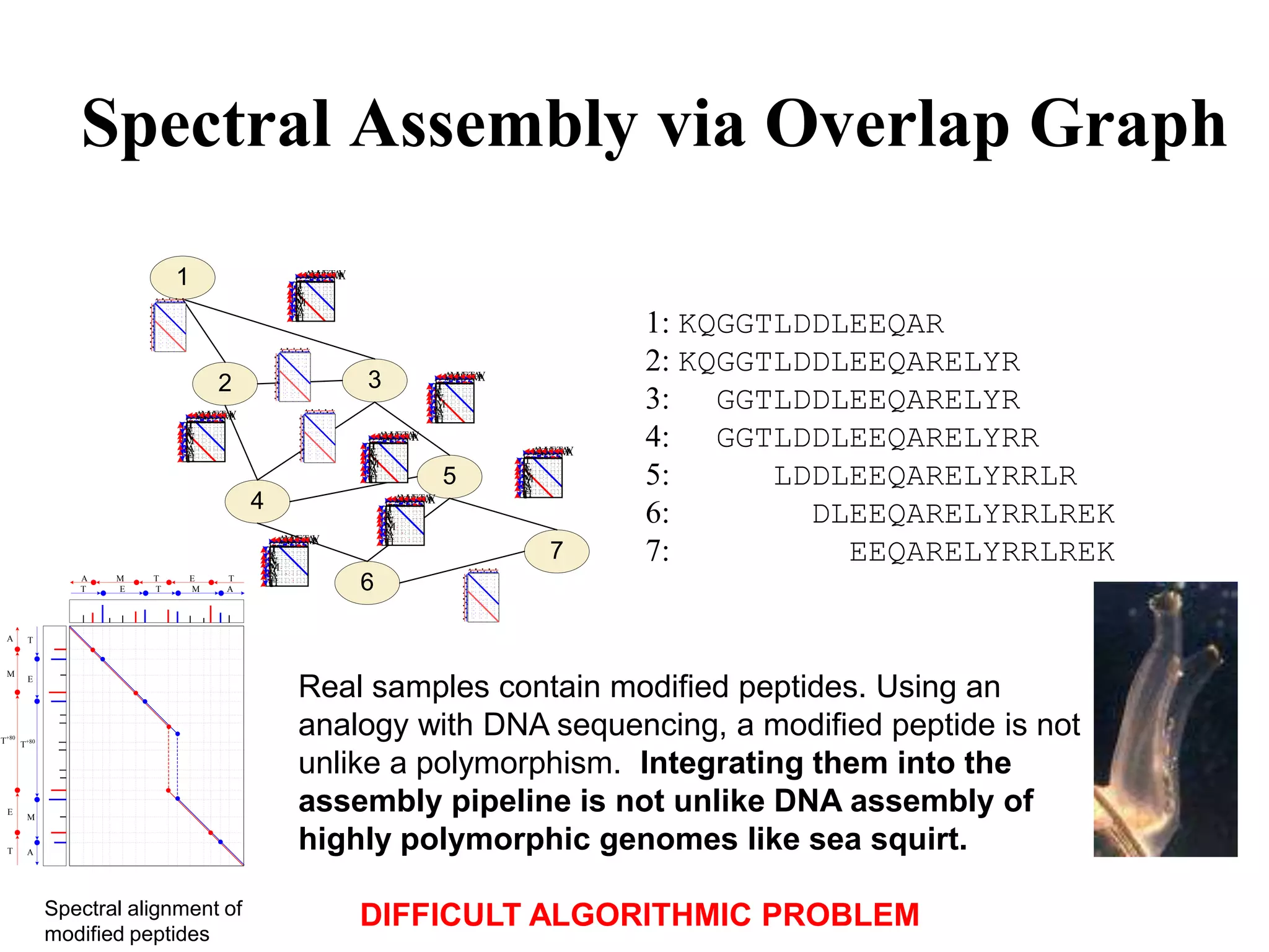 Spectral Assembly via Overlap Graph
                           1                   T
                                               H
                                               E
                                               A
                                                 VM ETA
                                                 A TEVM
                                                  AV A V
                                               A
                                               V
                                               M
                                               M
                                               V
                                               A
                                                                                               1: KQGGTLDDLEEQAR
                                               A
                                               E
                                               H
                                               T



                                                                                               2: KQGGTLDDLEEQARELYR
                                   2                       3           T
                                                                         VM ETA
                                                                         A TEVM
                                                                          AV A V

                                                                                               3: GGTLDDLEEQARELYR
                                                                       H
                                                                       E
                                                                       A
                                                                       A
                                                                       V
                                                                       M
                                                                       M
                                                                       V
                                                                       A
                             VM ETA
                             A TEVM
                              AV A V                                   A
                                                                       E
                                                                       H
                                                                       T

                                                                                               4: GGTLDDLEEQARELYRR
                           T
                           H
                           E
                           A
                           A
                           V
                           M                                 VM ETA
                                                             A TEVM
                                                              AV A V
                           M
                           V                               T
                                                           H
                           A
                           A
                           E                               E
                                                           A                         VM ETA
                                                                                     A TEVM
                                                                                      AV A V
                           H
                           T                               A
                                                           V                       T
                                                           M                       H
                                                                                                       LDDLEEQARELYRRLR
                                                           M
                                                           V
                                                           A
                                                           A
                                                           E
                                                           H
                                                           T             5
                                                                                   E
                                                                                   A
                                                                                   A
                                                                                   V
                                                                                   M
                                                                                   M
                                                                                   V
                                                                                   A
                                                                                   A
                                                                                   E
                                                                                   H
                                                                                   T
                                                                                               5:
                                       4                       VM ETA
                                                               A TEVM
                                                                AV A V
                                                               T
                                                               H
                                                               E
                                                               A
                                                               A
                                                               V
                                                               M
                                                               M
                                                               V
                                                               A
                                                                                               6:        DLEEQARELYRRLREK
                                                               A
                                                               E
                                                                                                           EEQARELYRRLREK
                                             VM ETA
                                             A TEVM
                                              AV A V           H
                                                               T
                                           T
                                           H
                                           E
                                           A
                                           A
                                           V
                                           M
                                           M
                                           V
                                                                                       7       7:
                                           A
               A
               T
                   M
                   E
                       T
                       T
                               E
                               M
                                   T
                                   A
                                           A
                                           E
                                           H
                                           T               6

 A     T


 M
       E
                                                Real samples contain modified peptides. Using an
T+80 T+80
                                                analogy with DNA sequencing, a modified peptide is not
                                                unlike a polymorphism. Integrating them into the
 E
      M
                                                assembly pipeline is not unlike DNA assembly of
 T    A
                                                highly polymorphic genomes like sea squirt.

            Spectral alignment of                          DIFFICULT ALGORITHMIC PROBLEM
            modified peptides
 