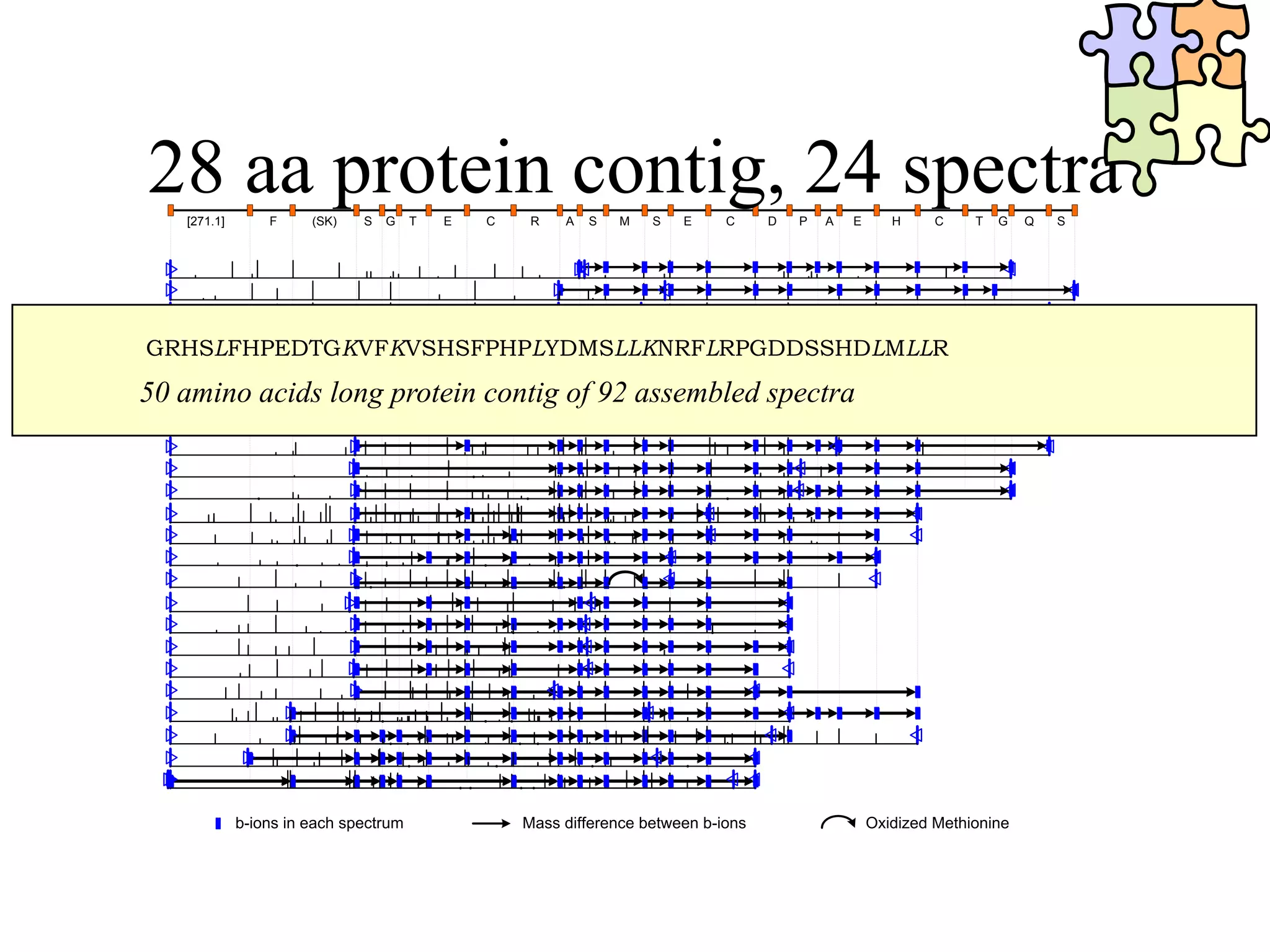 28 aa protein contig, 24 spectra
   [271.1]       F     (SK)   S   G    T   E   C    R   A   S   M   S   E     C     D   P   A   E      H     C    T   G   Q   S




GRHSLFHPEDTGKVFKVSHSFPHPLYDMSLLKNRFLRPGDDSSHDLMLLR

50 amino acids long protein contig of 92 assembled spectra




             b-ions in each spectrum               Mass difference between b-ions                   Oxidized Methionine
 
