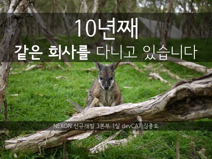 10년째같은 회사를 다니고 있습니다   NEXON 신규개발 3본부 1실 devCAT 김충효 