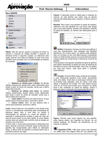 INSS
Prof. Marcio Hollweg Informática
15
Menu INSERIR
Célula: Não tão comum quanto à inserção de linhas ou
colunas a inserção de células também é possível, só
devemos tomar o seguinte cuidado, ao selecionar esta
opção abre-se uma caixa de diálogo na qual você deve
escolher como proceder com a movimentação do restante
do conteúdo.
• Deslocar as células para a direita: As demais
células pertencentes àquela linha serão deslocadas para
direita a partir do ponto de inserção, sendo que a última
célula será excluída.
• Deslocar as células para baixo: As demais
células pertencentes àquela coluna serão deslocadas
para baixo a partir do ponto de inserção, sendo que a
última célula será excluída.
• Linha inteira: Funciona da mesma forma, só que
desloca toda a linha para baixo, excluindo a última.
• Coluna inteira: Idem, só que desloca toda a
coluna para esquerda, excluindo a última.
Linha: Inserir linhas em uma planilha é uma tarefa muito
comum e normalmente ocasionada pela necessidade de
adicionar algum item a uma lista, ou devido à
reformulação da estrutura ou visual da planilha. A
operação é extremamente simples e pode ser feita por
meio do menu Inserir ou do menu rápido. O cursor seletor
sempre deve ser posicionado na linha onde se deseja ver
inserida uma nova linha.
A linha onde o cursor está posicionado é deslocada para
baixo. Quando uma linha é inserida, todas as fórmulas da
planilha são reorganizadas para refletir as alterações
feitas. A última linha da planilha é excluída sendo que a
penúltima assume seu lugar.
Coluna: A descrição acima é valida para a inserção de
colunas, só vale lembrar que neste caso as demais
colunas são deslocadas para a direita e a última coluna é
excluída.
Planilha: Para inserir uma planilha na pasta de trabalho,
selecione uma das planilhas em cujo local você deseja
que a nova seja inserida. Quando uma planilha é inserida
na pasta de trabalho, as demais são deslocadas para a
direita.
Gráfico: Expressar números em forma de gráficos é
uma das características mais atraentes das planilhas
eletrônicas. Em muitos casos, um gráfico pode sintetizar
todo um conceito ou dar uma idéia precisa e instantânea
sobre um determinado assunto que possivelmente exigiria
a leitura atenta de muitas linhas e colunas de números da
planilha.
O Excel possui uma grande variedade de tipos de gráficos
que podem representar os dados por meio de dezenas de
formatos em duas e três dimensões. Para criar um gráfico
por meio dos menus, você deve ativar o comando
Inserir/Gráfico.
Função: O Excel 2000 possui centenas de funções,
e você certamente perderia muito tempo aprendendo
cada uma delas. Você deve se preocupar somente com
as funções mais utilizadas, para as outras, você pode
utilizar o Assistente de Função. Por meio desse recurso
você diz ao Excel qual função quer introduzir na célula
atual e ele, mediante as caixas de diálogo, ensina e
pergunta qual é o conteúdo dos argumentos da função.
Figura: Permite você inserir figuras em sua planilha,
estas figuras podem ser inseridas do Clip-art, de um
arquivo qualquer, do Wordart, do Autoformas, de um
scanner ou câmera.
Hyperlink (CTRL + K): Caso queira criar somente
um atalho para uma página Web em sua planilha crie
PLANILHA
 