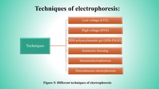 Techniques of electrophoresis:
Techniques
Low voltage (LVE)
High voltage (HVE)
SDS polyacrylamaide gel (SDS-PAGE)
Isoelectric focusing
Immunoelectrophoresis
Discontinuous electrophoresis
Figure 5: Different techniques of electrophoresis
 