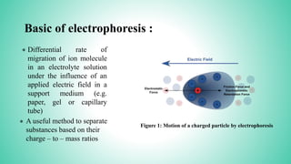 Basic of electrophoresis :
Differential rate of
migration of ion molecule
in an electrolyte solution
under the influence of an
applied electric field in a
support medium (e.g.
paper, gel or capillary
tube)
Figure 1: Motion of a charged particle by electrophoresis
*
* A useful method to separate
substances based on their
charge – to – mass ratios
 