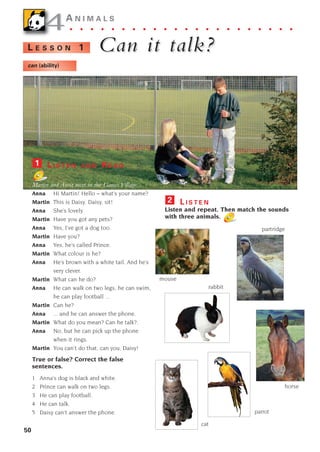 50
4
4A N I M A L S
. . . . . . . . . . . . . . . . . . . . . .
Can it talk?
Can it talk?
L E S S O N 1
L I S T E N
Listen and repeat. Then match the sounds
with three animals.
2
can (ability)
L I S T E N A N D R E A D
Martin and Anna meet in the Games Village.
Anna Hi Martin! Hello – what’s your name?
Martin This is Daisy. Daisy, sit!
Anna She’s lovely.
Martin Have you got any pets?
Anna Yes, I’ve got a dog too.
Martin Have you?
Anna Yes, he’s called Prince.
Martin What colour is he?
Anna He’s brown with a white tail. And he’s
very clever.
Martin What can he do?
Anna He can walk on two legs, he can swim,
he can play football ...
Martin Can he?
Anna ... and he can answer the phone.
Martin What do you mean? Can he talk?.
Anna No, but he can pick up the phone
when it rings.
Martin You can’t do that, can you, Daisy!
True or false? Correct the false
sentences.
1 Anna’s dog is black and white.
2 Prince can walk on two legs.
3 He can play football.
4 He can talk.
5 Daisy can’t answer the phone.
1
mouse
rabbit
parrot
partridge
horse
cat
1405097159_Sunrise_7_SB 02.qxd 1/5/08 16:31 Page 50
 