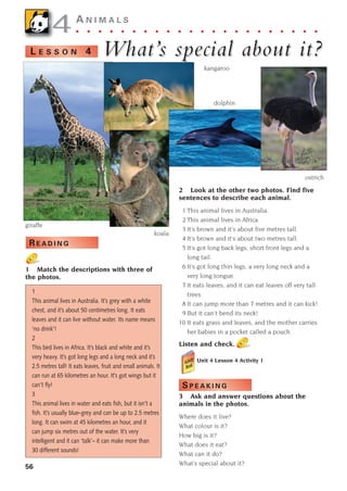 56
4
4A N I M A L S
. . . . . . . . . . . . . . . . . . . . . .
What’s special about it?
What’s special about it?
L E S S O N 4
1 Match the descriptions with three of
the photos.
1
This animal lives in Australia. It’s grey with a white
chest, and it’s about 50 centimetres long. It eats
leaves and it can live without water. Its name means
‘no drink’!
2
This bird lives in Africa. It’s black and white and it’s
very heavy. It’s got long legs and a long neck and it’s
2.5 metres tall! It eats leaves, fruit and small animals. It
can run at 65 kilometres an hour. It’s got wings but it
can’t fly!
3
This animal lives in water and eats fish, but it isn’t a
fish. It’s usually blue–grey and can be up to 2.5 metres
long. It can swim at 45 kilometres an hour, and it
can jump six metres out of the water. It’s very
intelligent and it can ‘talk’– it can make more than
30 different sounds!
2 Look at the other two photos. Find five
sentences to describe each animal.
1 This animal lives in Australia.
2 This animal lives in Africa.
3 It’s brown and it’s about five metres tall.
4 It’s brown and it’s about two metres tall.
5 It’s got long back legs, short front legs and a
long tail.
6 It’s got long thin legs, a very long neck and a
very long tongue.
7 It eats leaves, and it can eat leaves off very tall
trees.
8 It can jump more than 7 metres and it can kick!
9 But it can’t bend its neck!
10 It eats grass and leaves, and the mother carries
her babies in a pocket called a pouch.
Listen and check.
Unit 4 Lesson 4 Activity 1
3 Ask and answer questions about the
animals in the photos.
Where does it live?
What colour is it?
How big is it?
What does it eat?
What can it do?
What’s special about it?
R E A D I N G
S P E A K I N G
ostrich
dolphin
koala
kangaroo
giraffe
1405097159_Sunrise_7_SB 02.qxd:1405097159_Sunrise_7_SB 02.qxd 14/5/08 13:21 Page 56
 