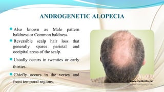 ANDROGENETIC ALOPECIA
Also known as Male pattern
baldness or Common baldness.
Reversible scalp hair loss that
generally spares parietal and
occipital areas of the scalp.
Usually occurs in twenties or early
thirties.
Chiefly occurs in the vertex and
front temporal regions.
 