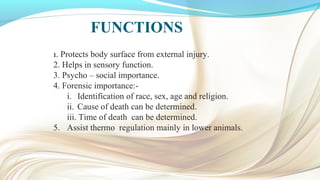 FUNCTIONS
1. Protects body surface from external injury.
2. Helps in sensory function.
3. Psycho – social importance.
4. Forensic importance:-
i. Identification of race, sex, age and religion.
ii. Cause of death can be determined.
iii. Time of death can be determined.
5. Assist thermo regulation mainly in lower animals.
 