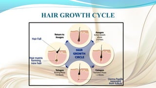 HAIR GROWTH CYCLE
 