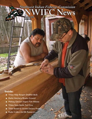 Northwest Indian Fisheries Commission
                      NWIFC News
                       Spring 2010
                       nwifc.org




Inside:
■ Tribes Help Reopen Shellfish Beds
■ Elwha Hatchery Breaks Ground
■ Melting Glaciers Impact Fish Habitat
■ Tribes, State Battle Fish Virus
■ Tribal Research Guides Estuary Project
■ Radio Collars Aid Elk Research
                                                        
 