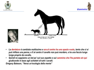 @spazioetico
• La dentatura è cambiata moltissimo e ora al centro ha uno spazio vuoto, tanto che ci si
può infilare una penna, e lì al centro il cavallo non può mordere, e ha una faccia lunga
lunga proprio da cavallo.
• Quindi ne sappiamo un bel po' sul suo aspetto e sul cammino che l'ha portato sin qui
giudicando in base agli scheletri di tutti i cavalli.
Gregory Bateson, “Verso un’ecologia della mente”
 
