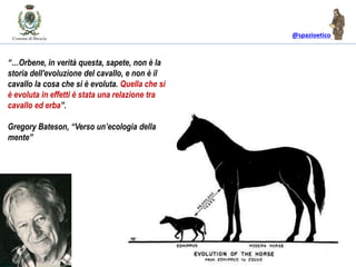 @spazioetico
“…Orbene, in verità questa, sapete, non è la
storia dell'evoluzione del cavallo, e non è il
cavallo la cosa che si è evoluta. Quella che si
è evoluta in effetti è stata una relazione tra
cavallo ed erba”.
Gregory Bateson, “Verso un’ecologia della
mente”
 