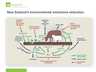 New Zealand dairy sector greenhouse gas emissions: current and future reductions