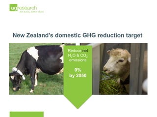 New Zealand dairy sector greenhouse gas emissions: current and future reductions