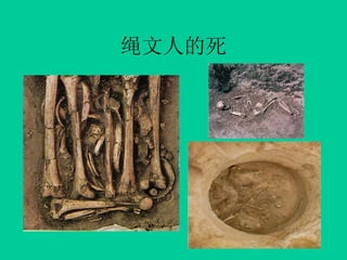 ˵
 