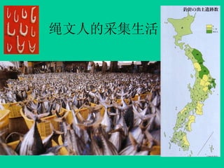 ˵Ĳɼ
 
