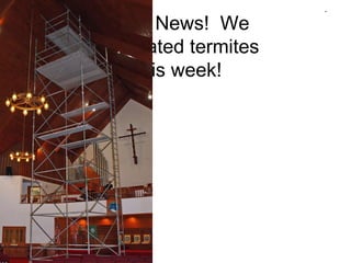Good News!  We  terminated termites  this week! . . 