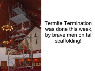 Termite Termination  was done this week, by brave men on tall scaffolding!  
