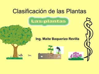 Clasificación de las Plantas
Ing. Maite Baquerizo Revilla
 