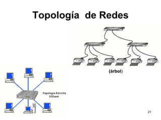 21
Topología de Redes
(árbol)
 