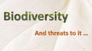 Presentation on Biodiversity | PPTX