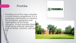 Institutional Framework for forest management in Bangladesh | PPTX