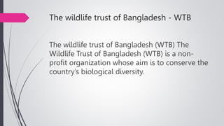 Institutional Framework for forest management in Bangladesh | PPTX