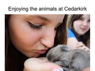 Enjoying the animals at Cedarkirk . 