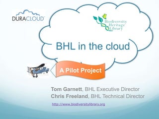 BHL in the cloudA Pilot ProjectTom Garnett, BHL Executive DirectorChris Freeland, BHL Technical Directorhttp://www.biodiversitylibrary.org