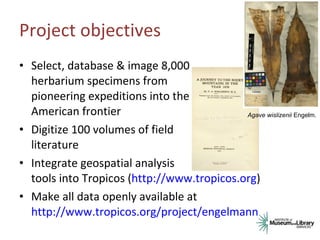 Project objectives <ul><li>Select, database & image 8,000 herbarium specimens from pioneering expeditions into the America...