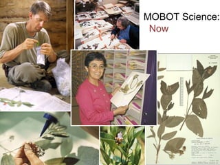 MOBOT Science: Now 