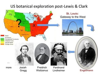 US botanical exploration post-Lewis & Clark St. Louis:  Gateway to the West ? X Engelmann more … Josiah  Gregg Freidrich W...