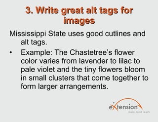 3. Write great alt tags for images Mississippi State uses good cutlines and  alt tags.  Example: The Chastetree’s flower color varies from lavender to lilac to pale violet and the tiny flowers bloom in small clusters that come together to form larger arrangements.  